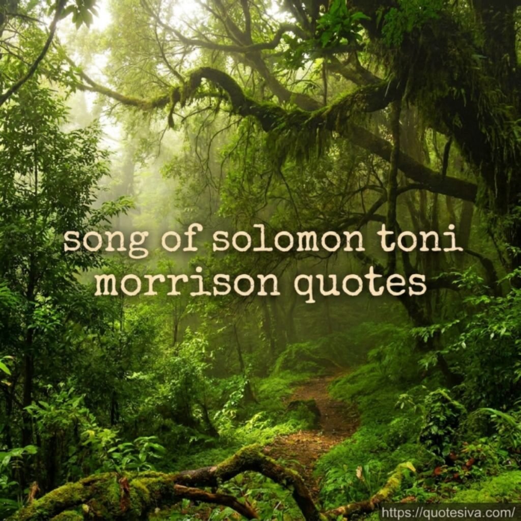 song of solomon toni morrison quotes